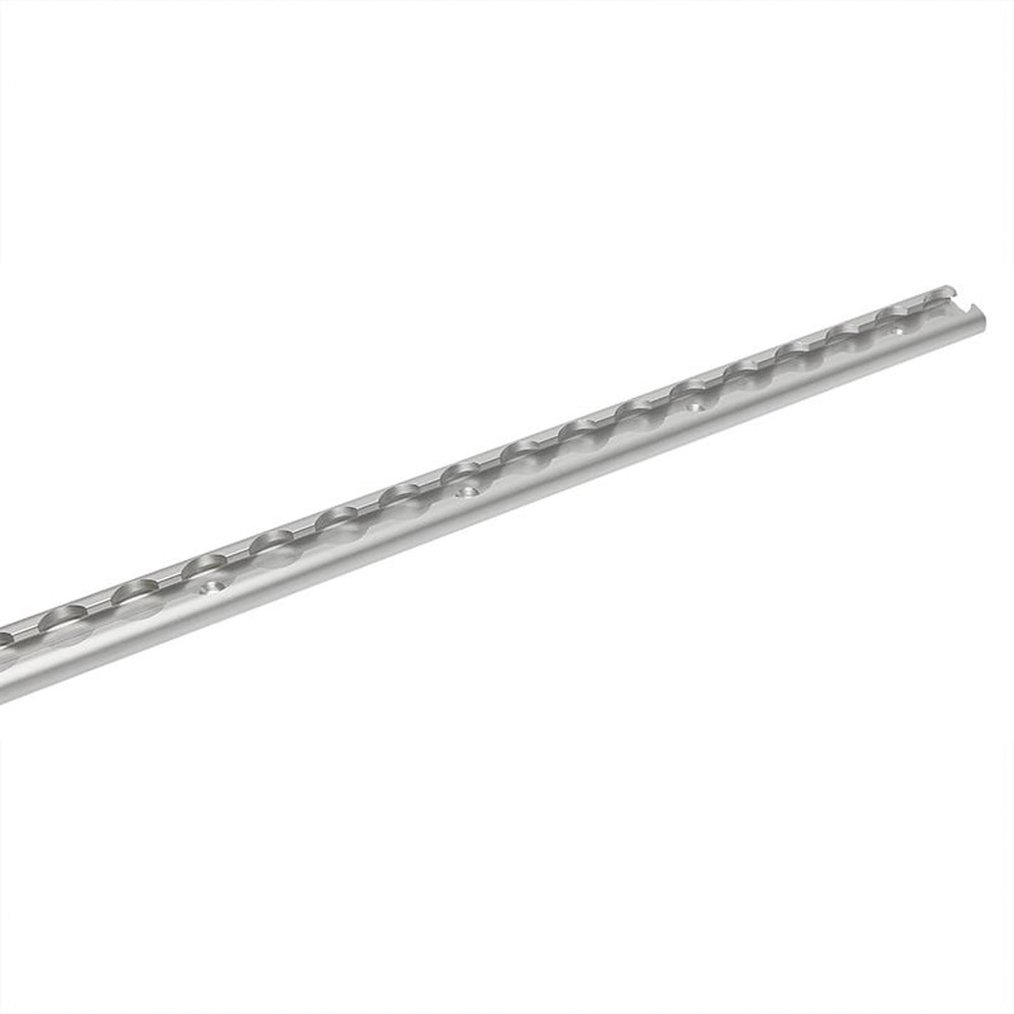 Zurrschiene 60cm