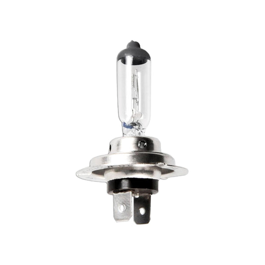 12V H7 55w Lampe px26d - TMN - shop.de