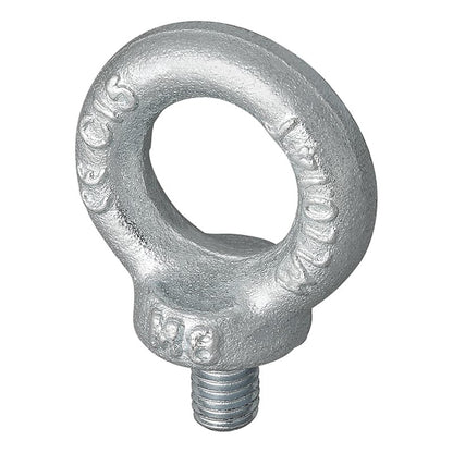 Ringschraube M8/M10/M12 - TMN - shop.de